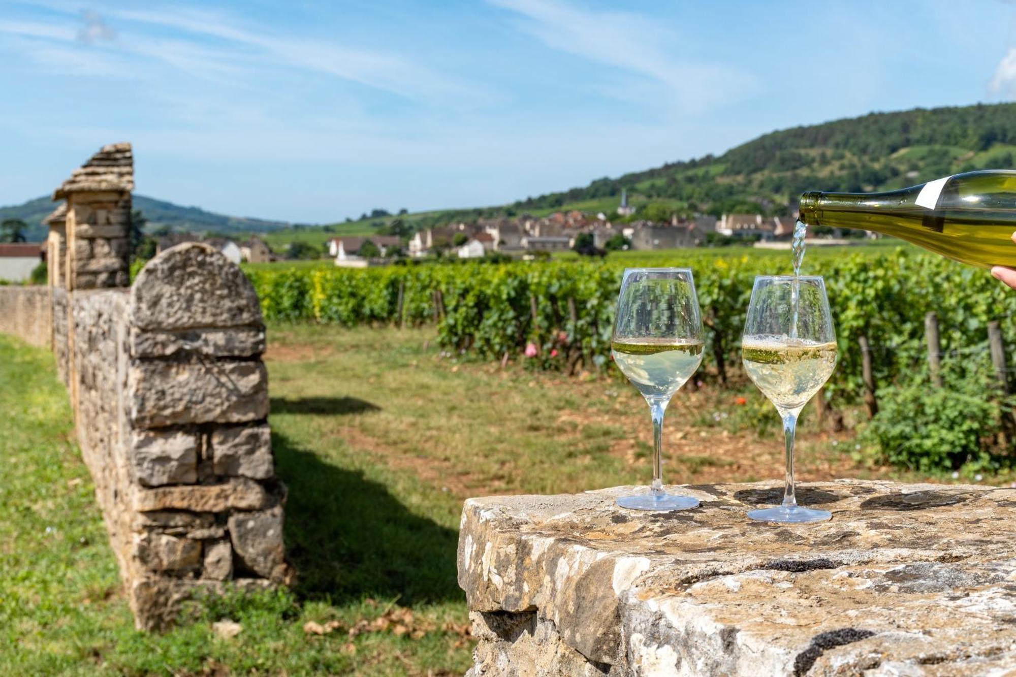 Charmante Maison Climatisee Avec Son Jardin A 10 Minutes De Dijon มาร์ซานเนย์-ลา-โกต ภายนอก รูปภาพ